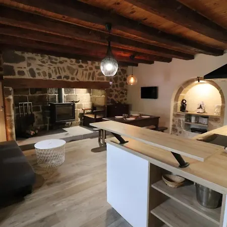 Holiday home Gite De Caractere Avec Terrasse Et Cheminee - Animaux Acceptes - Fr-1-742-335 Saint-Jacques-des-Blats