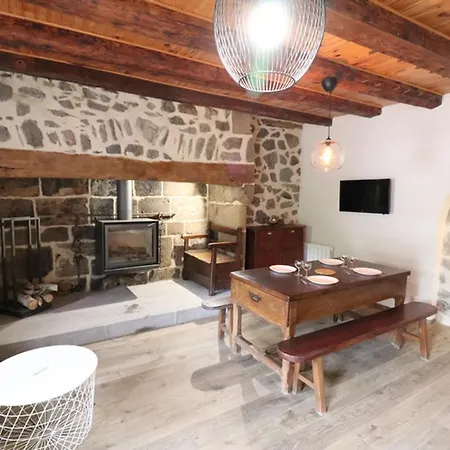 Gite De Caractere Avec Terrasse Et Cheminee - Animaux Acceptes - Fr-1-742-335 Holiday home Saint-Jacques-des-Blats